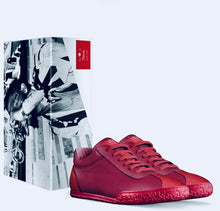 Load image into Gallery viewer, Nascotos