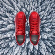 Load image into Gallery viewer, Nascotos